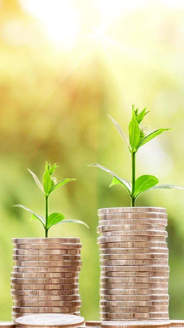Best Short-Term Investments in 2025 Story Cover Image