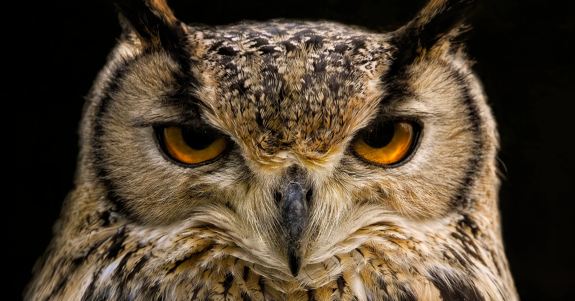 उल्लू का उपयोग – पुराण, लोककथाएँ और तांत्रिक परंपराएँ